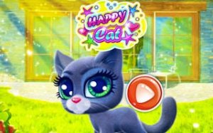 Cozy Cat Care and Dress Up
